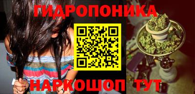 бошки Будённовск