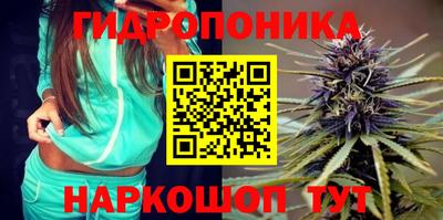 бошки Будённовск