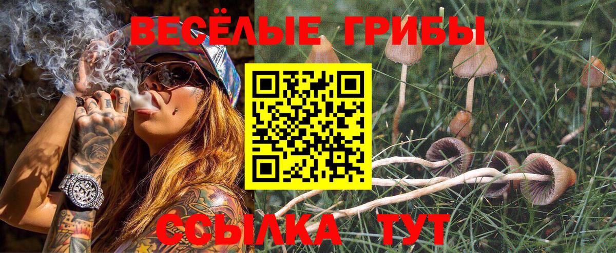 Бутурлиновка  Галлюциногенные грибы Magic Shrooms  Вход с VPN 