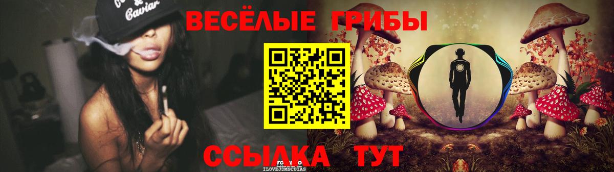 Псилоцибиновые грибы GOLDEN TEACHER Бутурлиновка